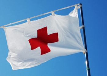 Гурин раскритиковал Красный крест