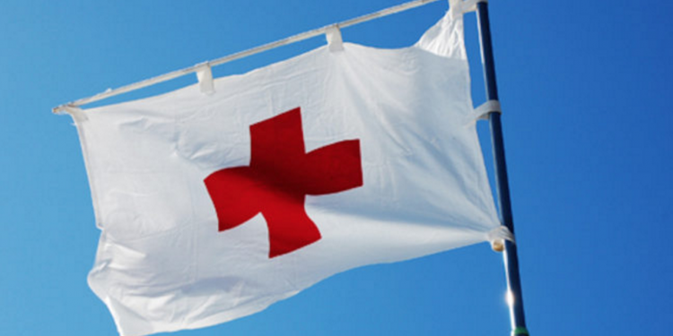 Гурин раскритиковал Красный крест