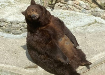 В Николаевском зоопарке до апреля раскупили все билеты