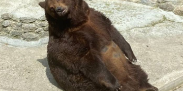 В Николаевском зоопарке до апреля раскупили все билеты