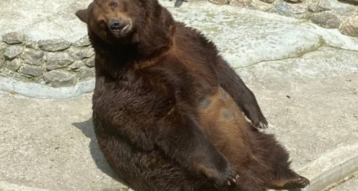 В Николаевском зоопарке до апреля раскупили все билеты