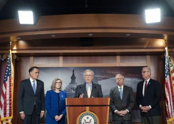 Сенаторы США призвали Байдена отправить самолеты в Украину