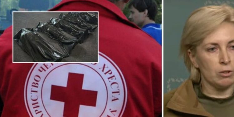 “Красный Крест” снабдили нашу страну мешками для тел