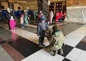 Кинологи с собаками помогают детям пережить стресс