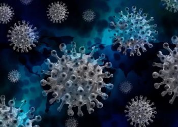 Китай впервые с 25 января 2021 года зафиксировали две смерти от коронавируса