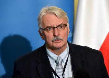 Ващиковский выступает за создание военной миссии НАТО