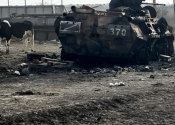 ВСУ освободили населенный пункт Харьковской области