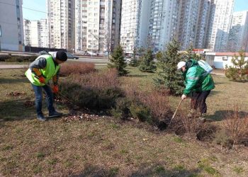 Киев продолжает озеленяться