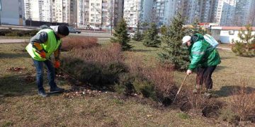 Киев продолжает озеленяться