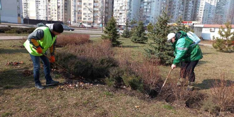 Киев продолжает озеленяться