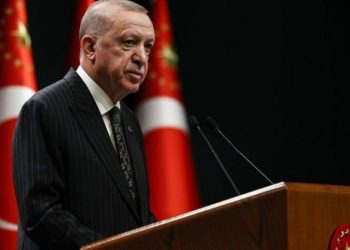 Эрдоган проведет переговоры с делегациями