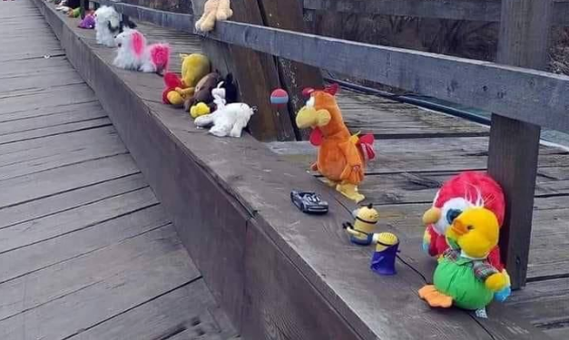 Мост на украинско-румынской границе