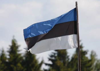 Эстония предлагает восстанавливать Украину