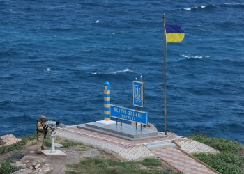 ВСУ нанесли удар по острову Змеиный