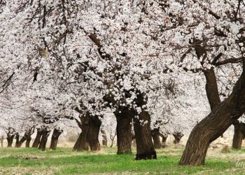 Гороскоп на 23 апреля для всех знаков