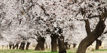 Гороскоп на 23 апреля для всех знаков