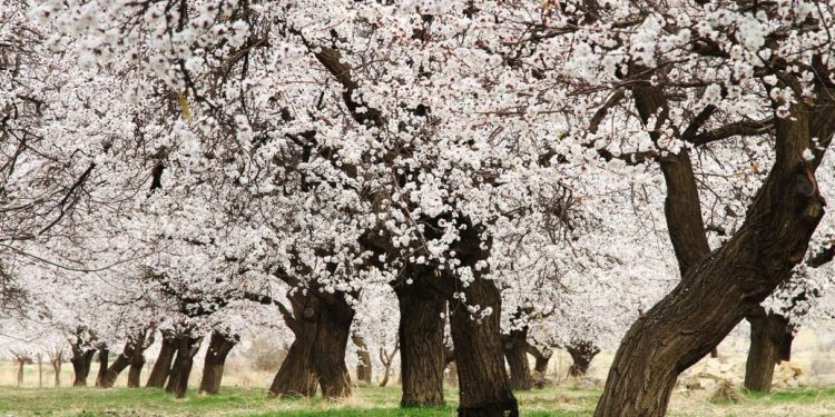 Гороскоп на 23 апреля для всех знаков