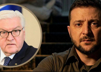 Зеленский отказался принять президента ФРГ