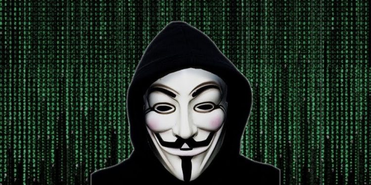 Новый слив баз данных  Anonymous