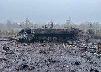 Дмитровка, Киевская область.