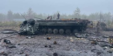 Дмитровка, Киевская область.