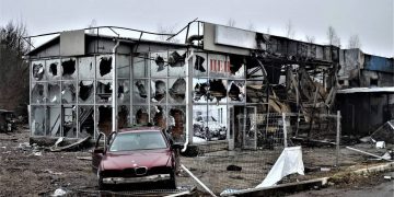 Мила. Киевская область