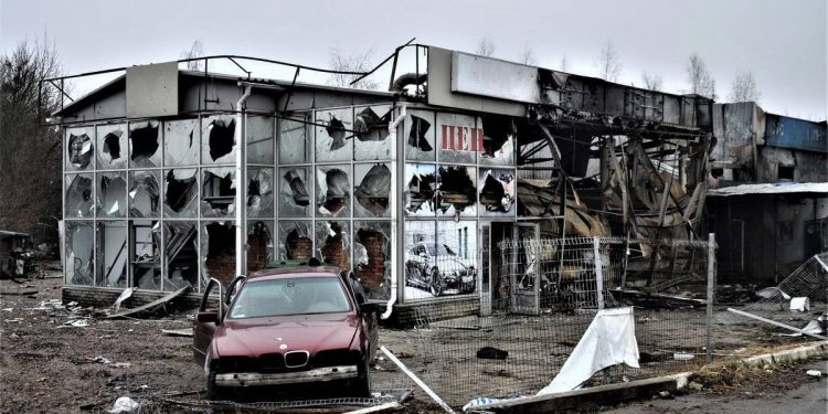 Мила. Киевская область