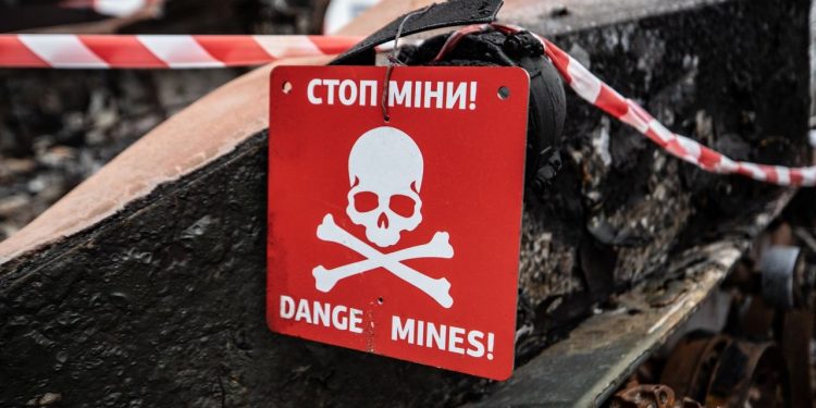 Освобожденные регионы Киевской области