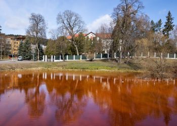 Пруд окрасили в цвет крови