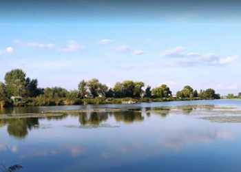 Высокий уровень аммония в воде!