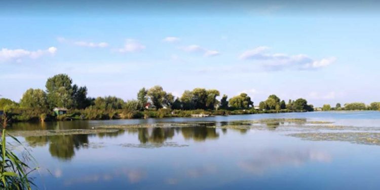 Высокий уровень аммония в воде!