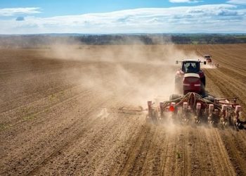 Планируют засеять 70% посевных площадей