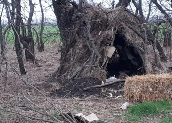 Российские солдаты жили в дупле