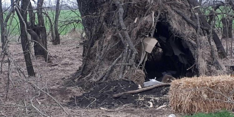 Российские солдаты жили в дупле