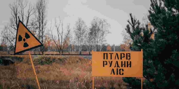 Украли из Чернобыля радиоактивные предметы