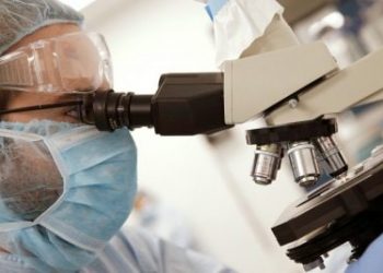 Создание единой ДНК-базы