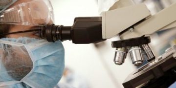 Создание единой ДНК-базы