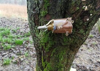 Вот что оставили после себя россияне