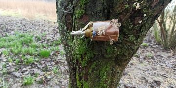 Вот что оставили после себя россияне