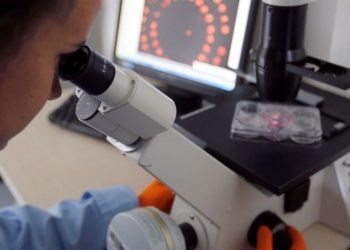 Кыргызстан отказался строить биолабораторию