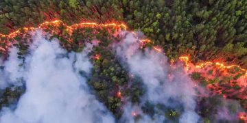 Пожар в Сибирском лесу