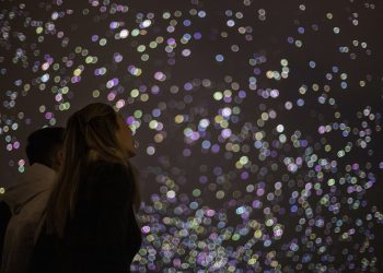 В Нидерландах создали экологичный фейерверк