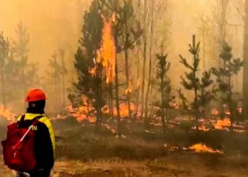 Массовые пожары в Сибири. Есть пострадавшие