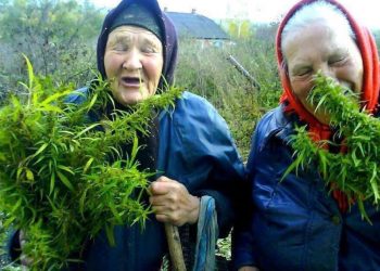 В Одессе задержали пенсионерок-наркоторговцев