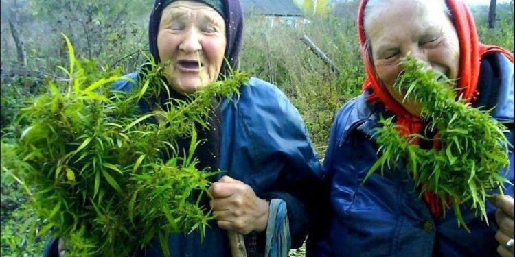 В Одессе задержали пенсионерок-наркоторговцев