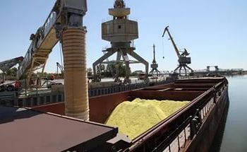 Одесская область обеспечена зерном и мукой