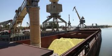 Одесская область обеспечена зерном и мукой