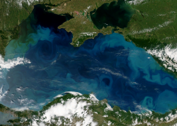 Способна ли Украина деблокировать Черноморские порты