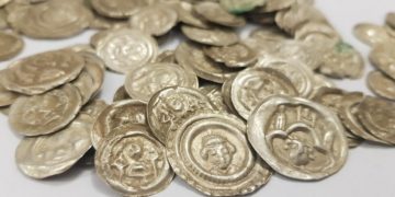 Собака вырыла коллекцию средневековых монет