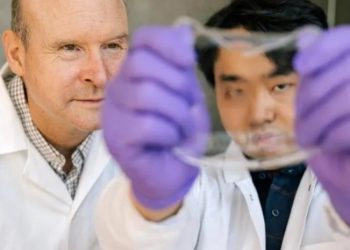 Ученые создали новый вид искусственной кожи